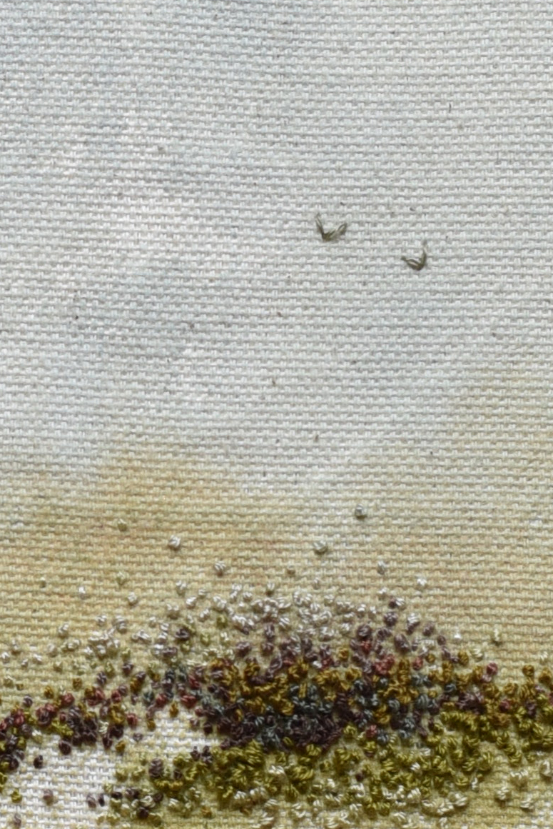 Hazy Moor — detail